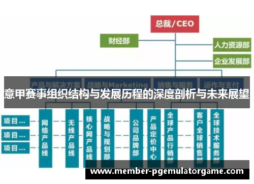 意甲赛事组织结构与发展历程的深度剖析与未来展望