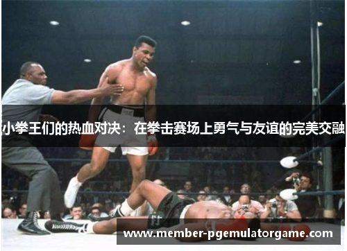 小拳王们的热血对决：在拳击赛场上勇气与友谊的完美交融