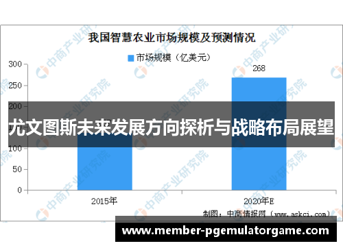 尤文图斯未来发展方向探析与战略布局展望