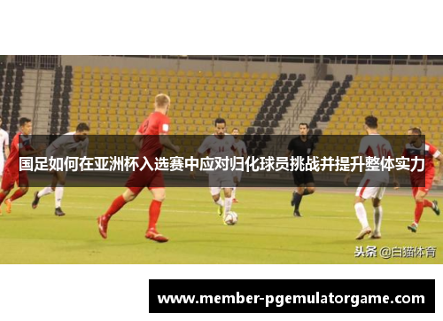 国足如何在亚洲杯入选赛中应对归化球员挑战并提升整体实力