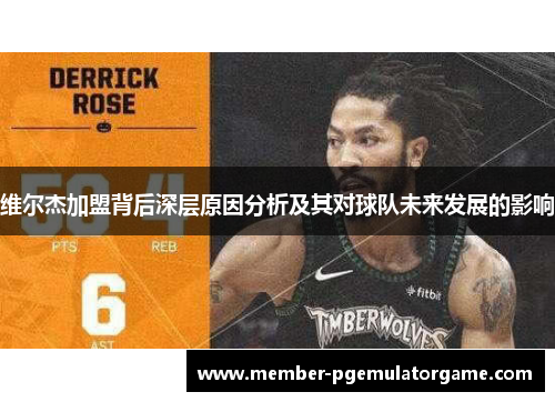 维尔杰加盟背后深层原因分析及其对球队未来发展的影响