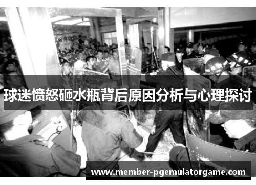 球迷愤怒砸水瓶背后原因分析与心理探讨