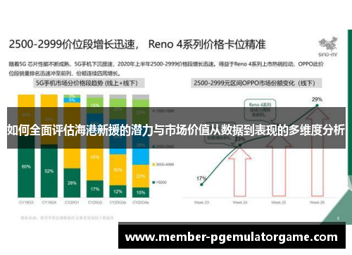 如何全面评估海港新援的潜力与市场价值从数据到表现的多维度分析