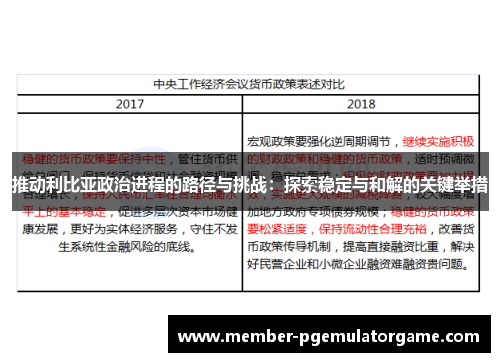 推动利比亚政治进程的路径与挑战：探索稳定与和解的关键举措
