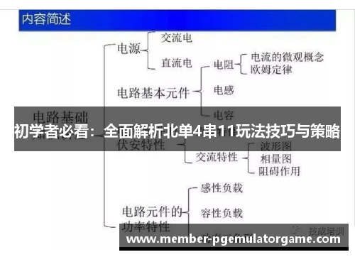 初学者必看：全面解析北单4串11玩法技巧与策略