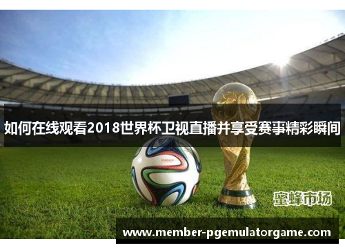 如何在线观看2018世界杯卫视直播并享受赛事精彩瞬间