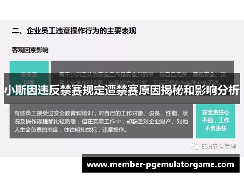小斯因违反禁赛规定遭禁赛原因揭秘和影响分析