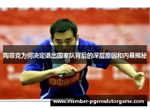 陶菲克为何决定退出国家队背后的深层原因和内幕揭秘