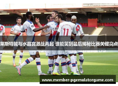 莱斯特城与水晶宫激战再起 谁能笑到最后揭秘比赛关键亮点