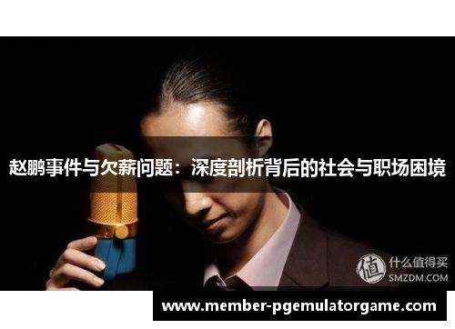 赵鹏事件与欠薪问题：深度剖析背后的社会与职场困境