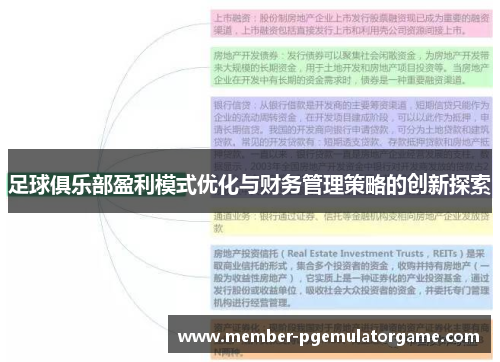 足球俱乐部盈利模式优化与财务管理策略的创新探索 足球俱乐部盈利模式优化与财务管理策略的创新探索