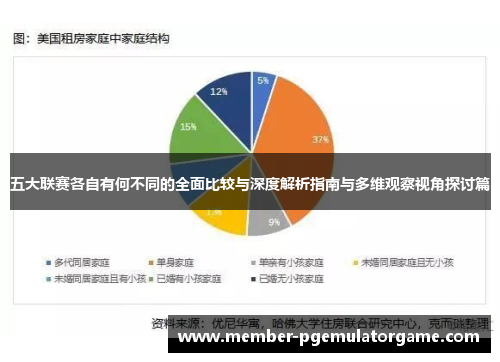 五大联赛各自有何不同的全面比较与深度解析指南与多维观察视角探讨篇