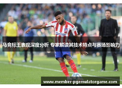 马竞标王表现深度分析 专家解读其技术特点与赛场影响力