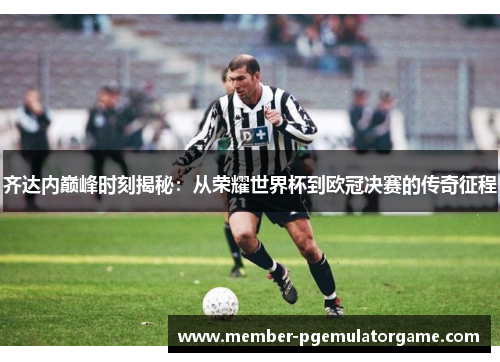 齐达内巅峰时刻揭秘：从荣耀世界杯到欧冠决赛的传奇征程