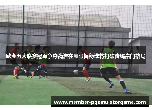 欧洲五大联赛冠军争夺战潜在黑马揭秘谁将打破传统豪门格局