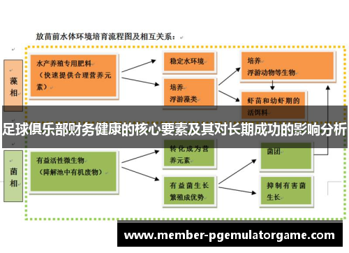 足球俱乐部财务健康的核心要素及其对长期成功的影响分析