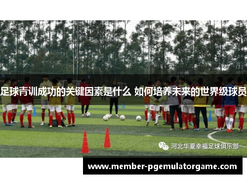 足球青训成功的关键因素是什么 如何培养未来的世界级球员
